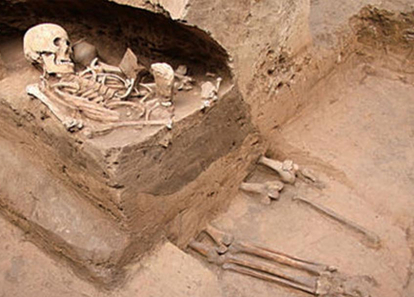 صورة اكتشاف أحفورة لحاكم عربي متحجرة منذ ٨٠ مليون عام