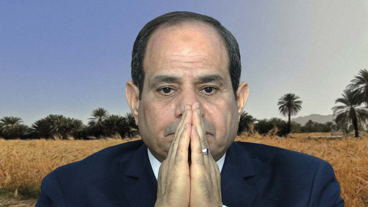 Sisi prophecies Egypt will endure seven years of crap followed by seven years of famine image