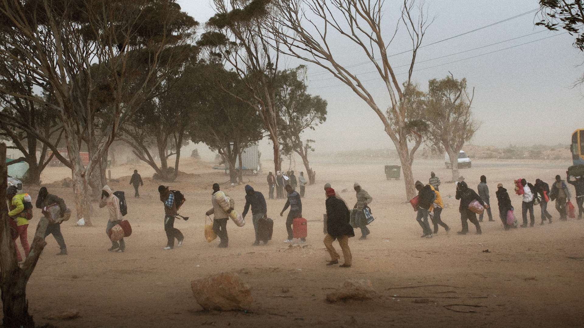  صورة سعيّد يضع المهاجرين في الصحراء إلى حين وصول مساعدات أوروبية كافية لقتلهم ودفنهم
