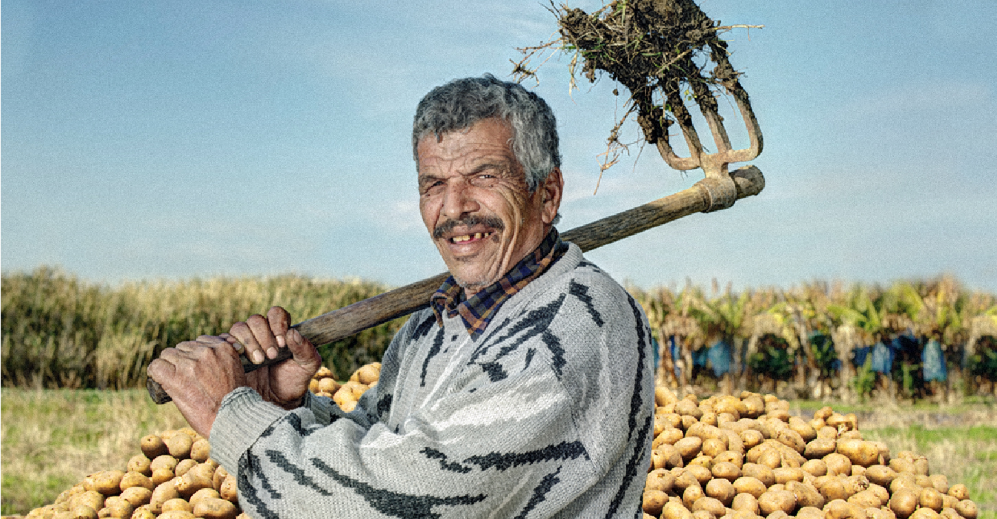 صورة مزارع ماسوني ينتج محصولًا كاملًا من البطاطا دون أي حبّة تحمل لفظ الجلالة